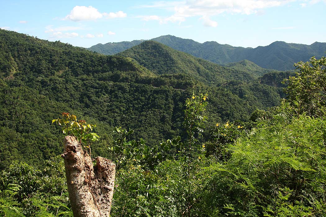 2008-12-02-13, mod baracoa  - 5468-ek-foto.jpg